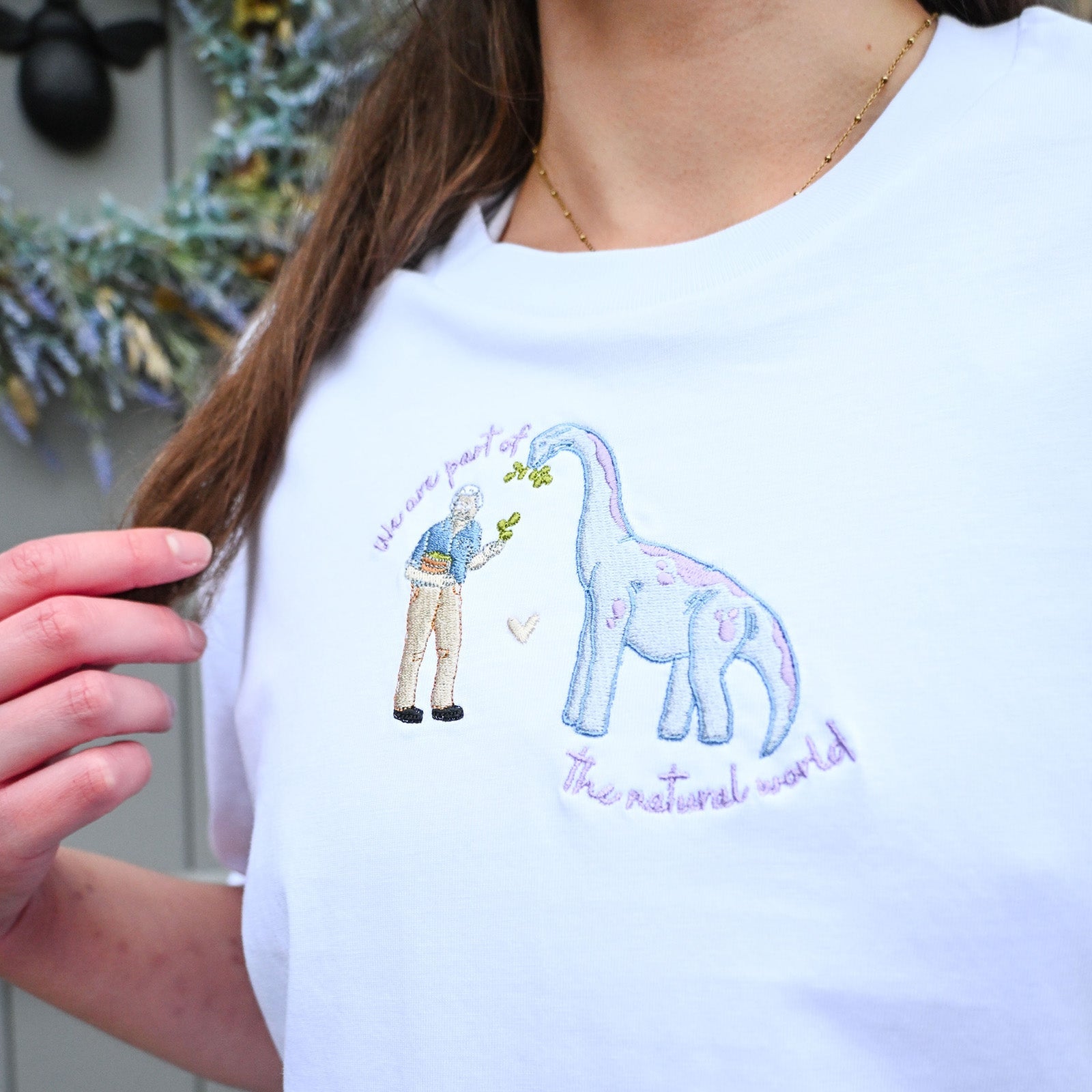 David & Dino: David Attenborough Inspired Collection