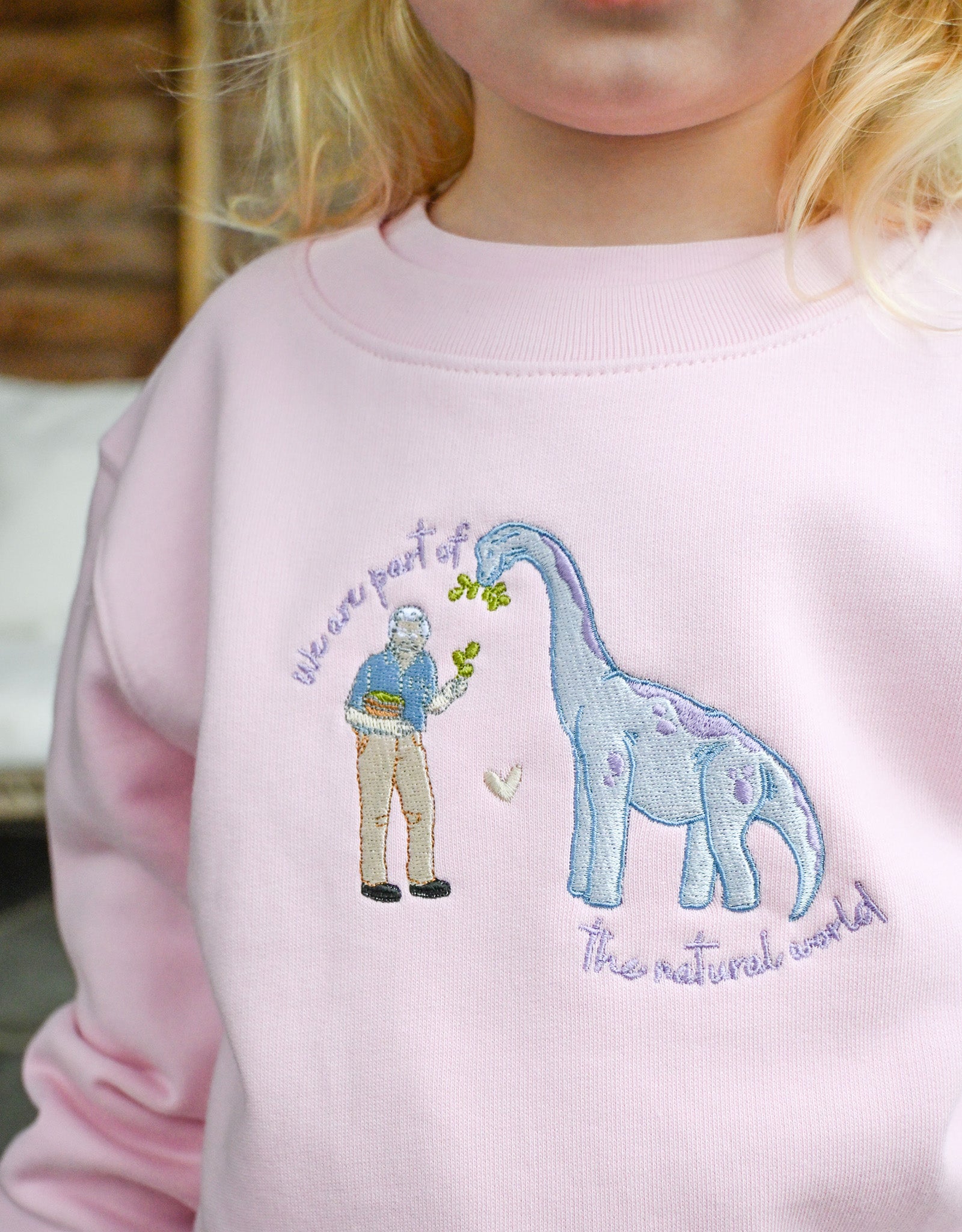 DAVID_DINO_LIGHT_PINK_KIDS_SWEATSHIRT_FRONT_2.jpg