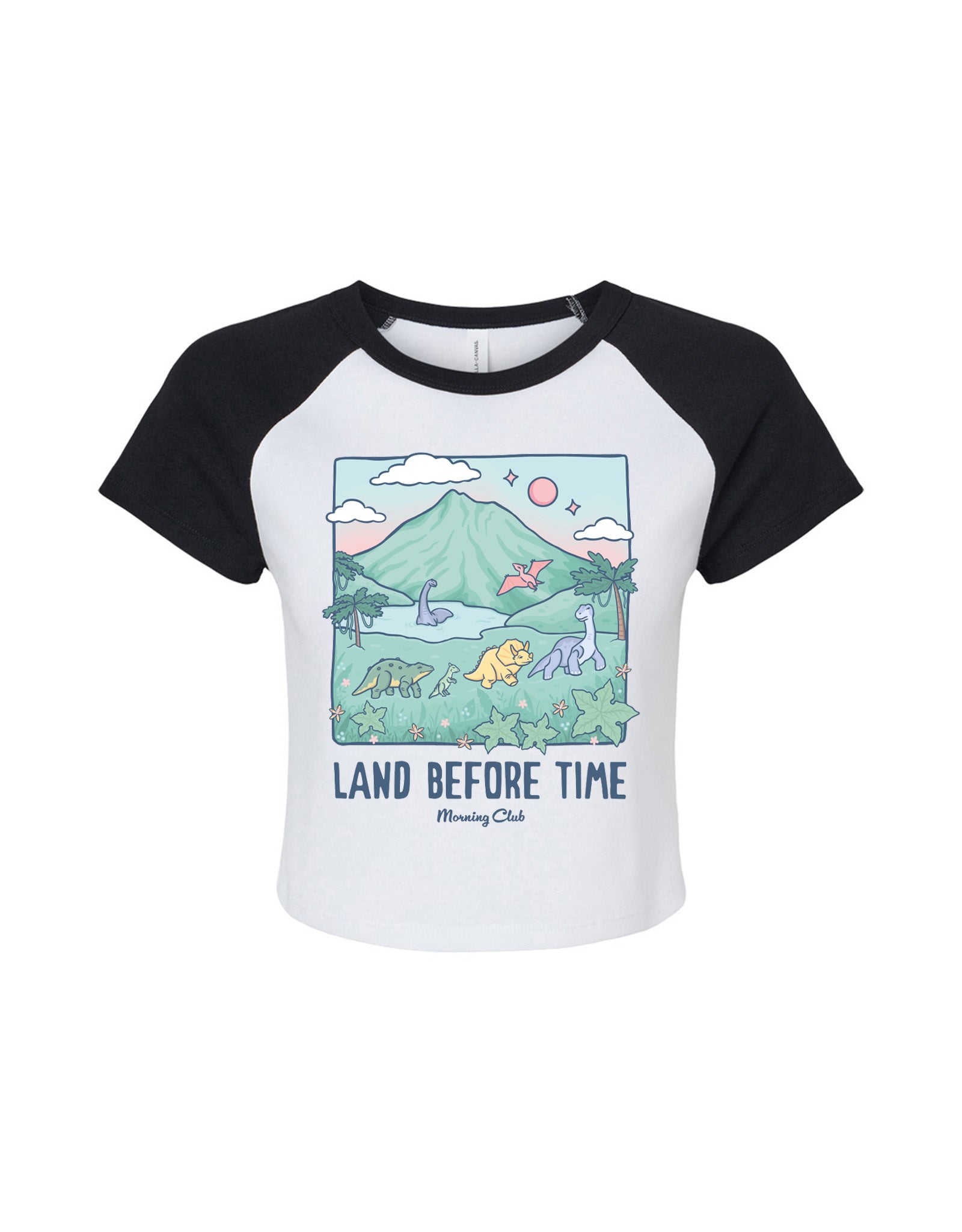 Dinosaurs Printed Micro Rib Raglan Baby Tee