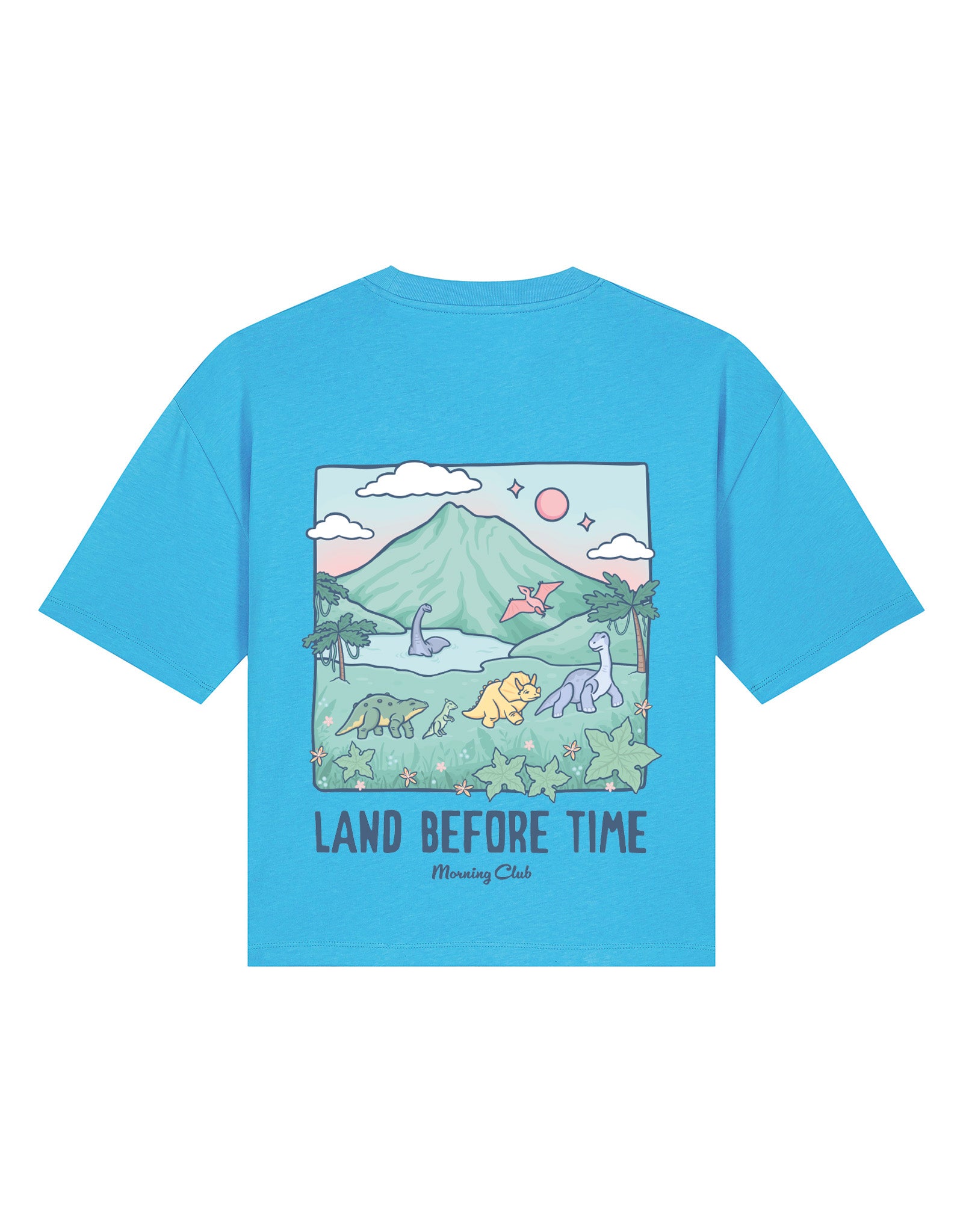 Dinosaurs Boxy Organic Cotton Tee