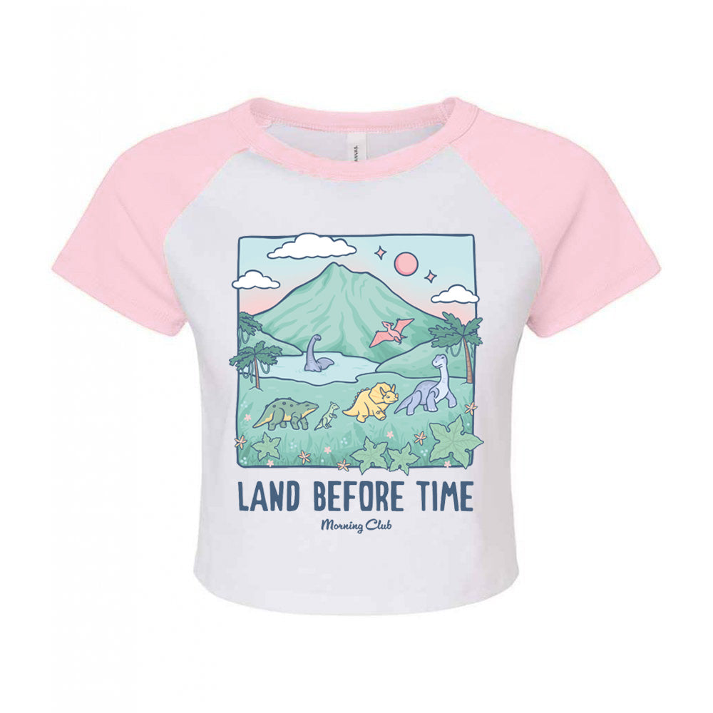 Dinosaurs Printed Micro Rib Raglan Baby Tee