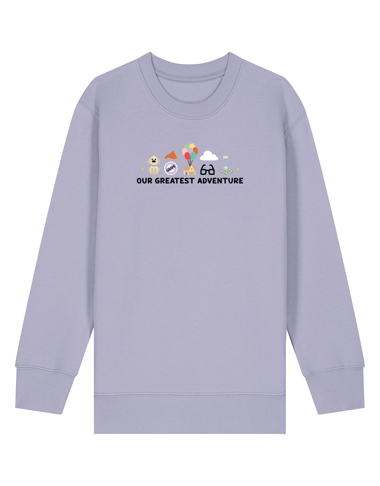 Up Embroidered Organic Cotton Childrens Sweatshirt