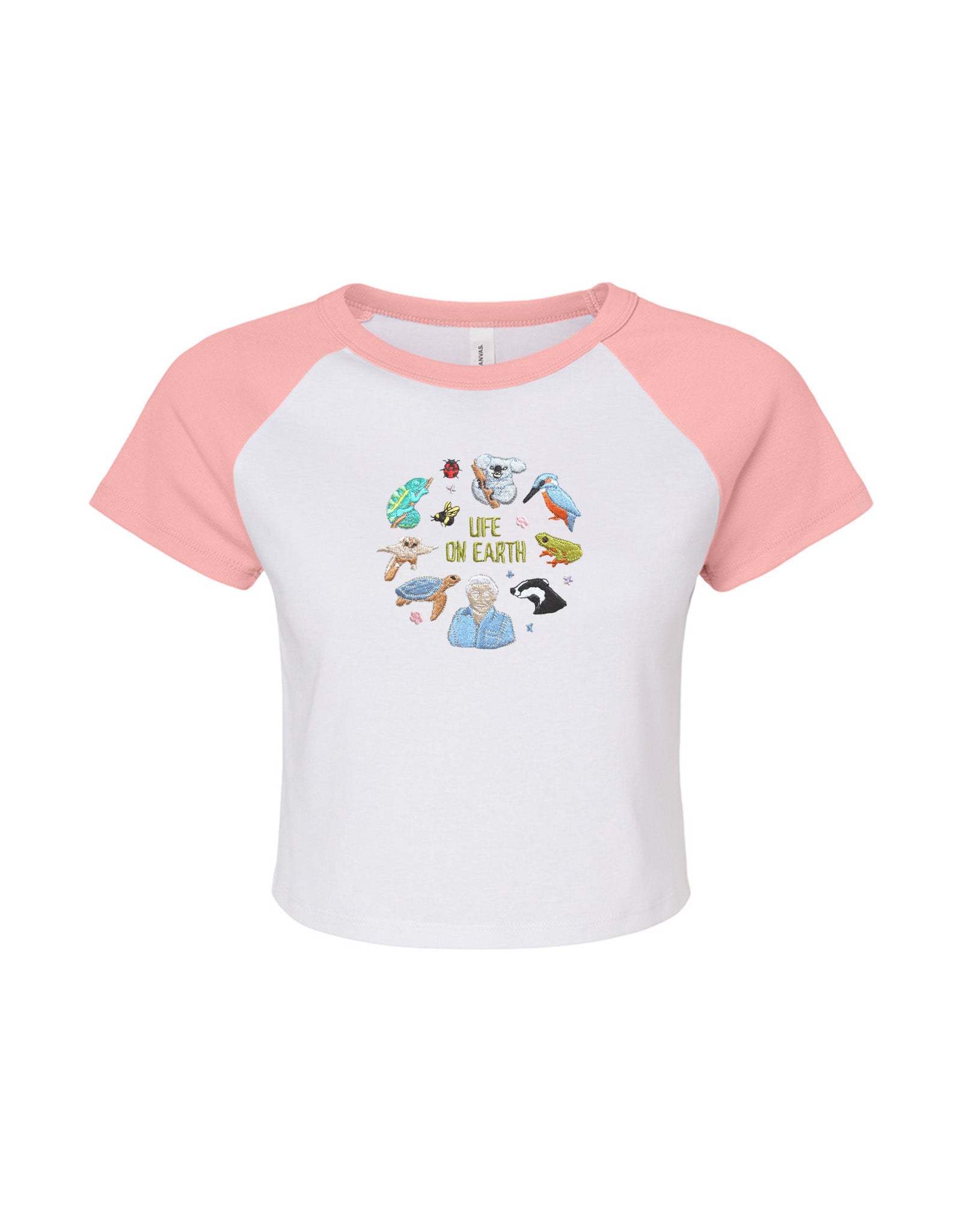 Life On Earth Embroidered Micro Rib Raglan Baby Tee