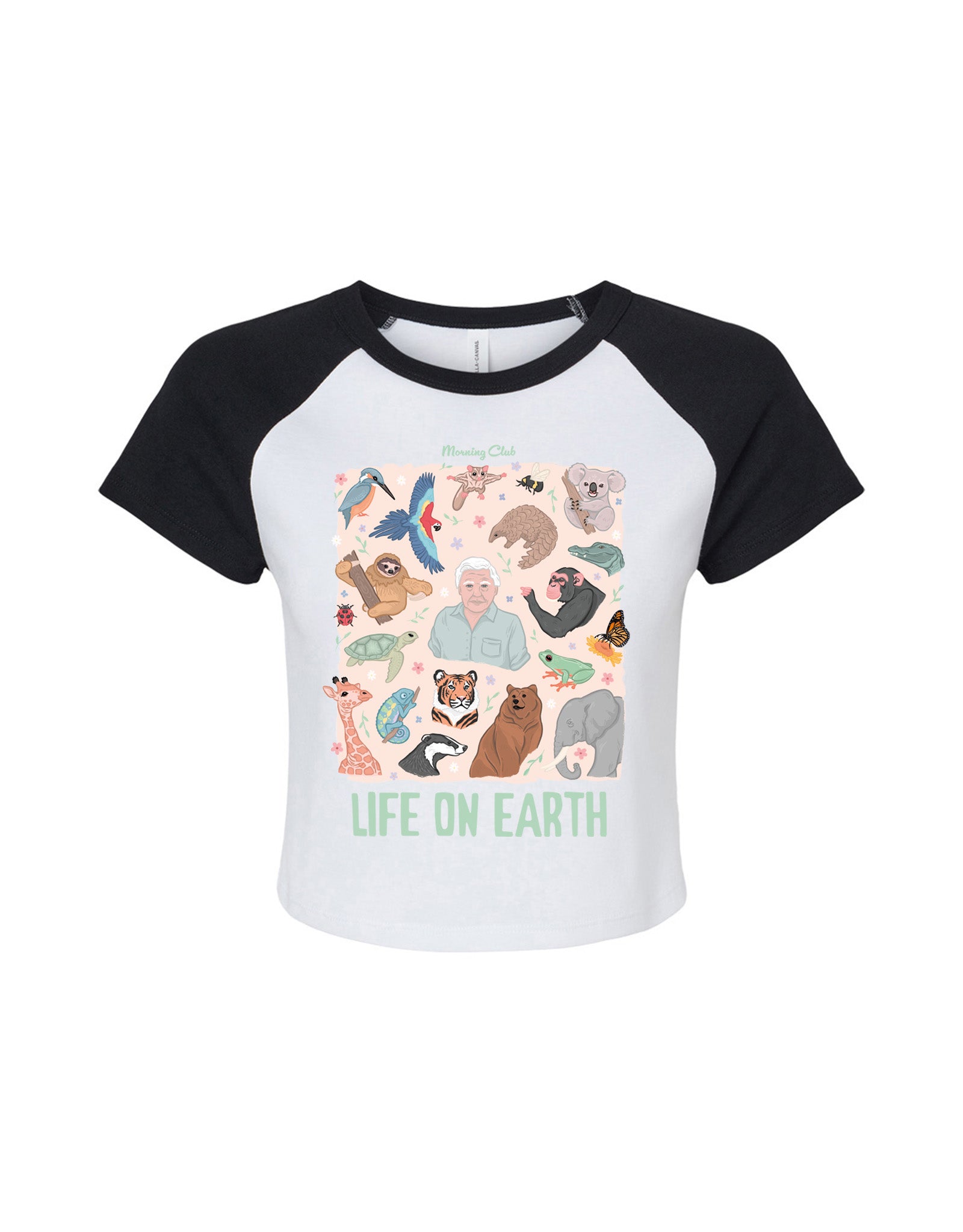 Life On Earth Printed Micro Rib Raglan Baby Tee
