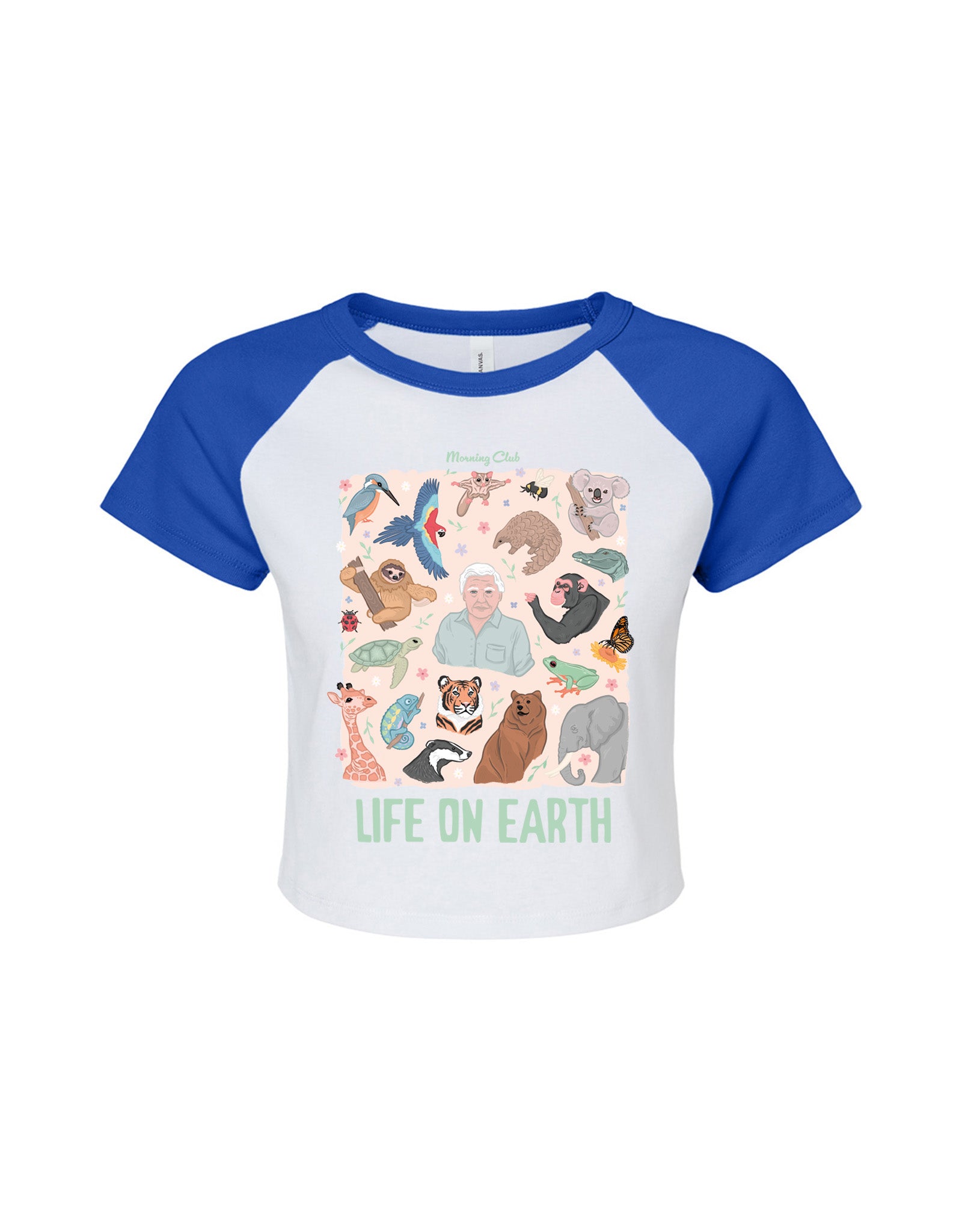 Life On Earth Printed Micro Rib Raglan Baby Tee