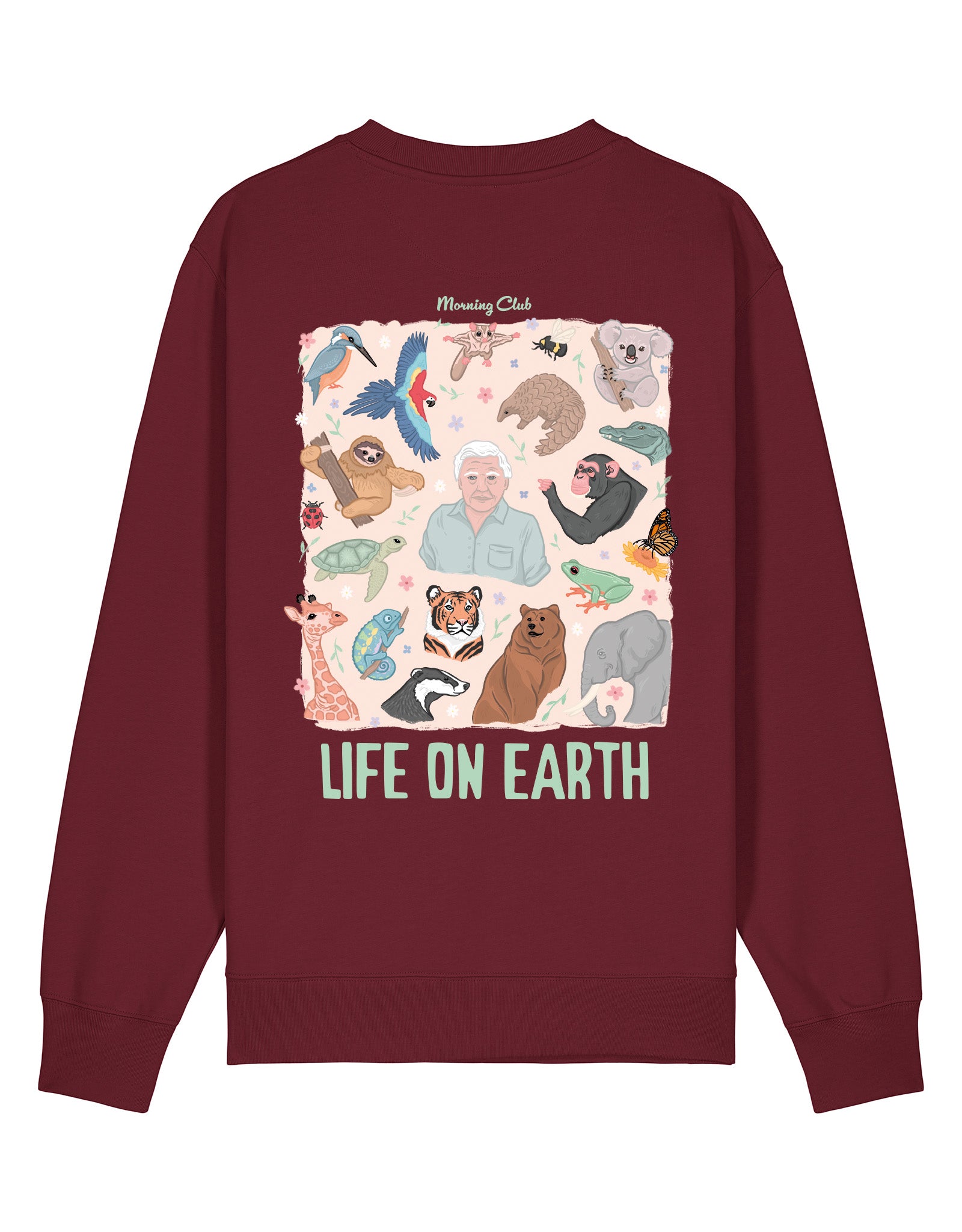 Life On Earth Printed Organic Cotton Sweatshirt