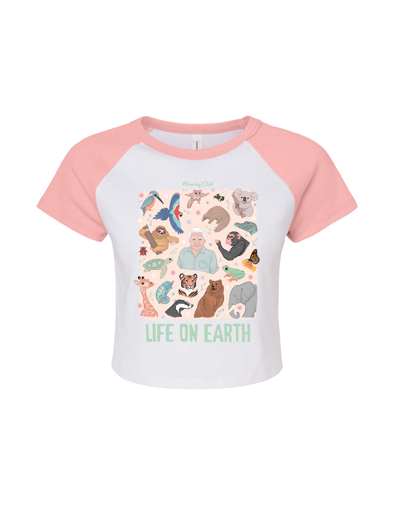 Life On Earth Printed Micro Rib Raglan Baby Tee