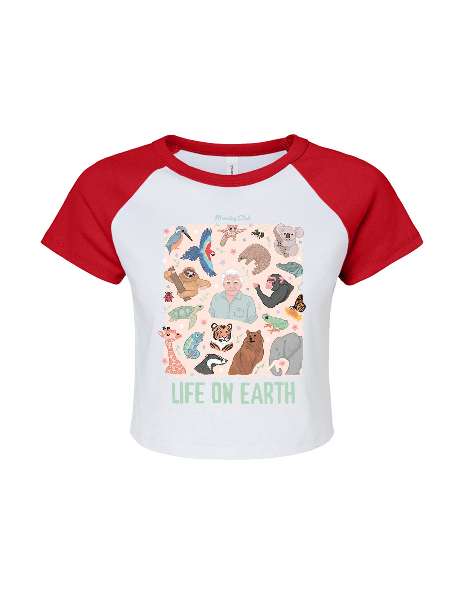 Life On Earth Printed Micro Rib Raglan Baby Tee