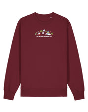 Peter Pan Embroidered Organic Cotton Sweatshirt