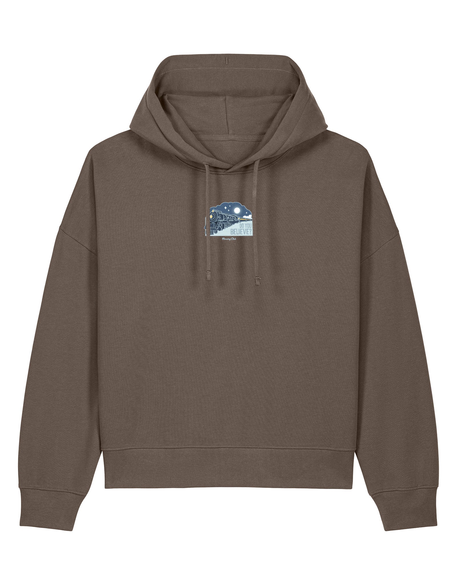Polar Train Boxy Organic Cotton Hoodie