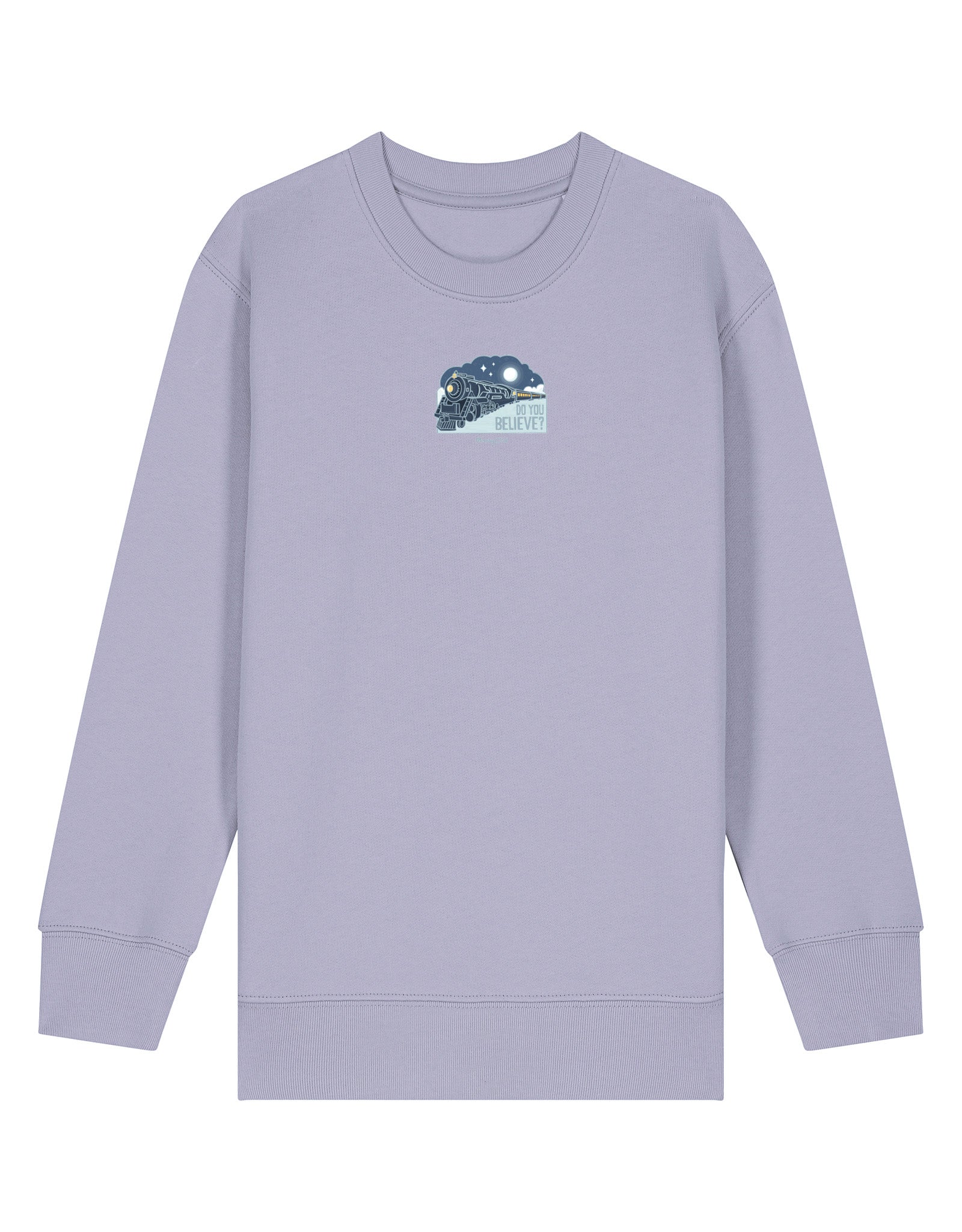 Polar Train Organic Cotton Childrens Sweatshirt