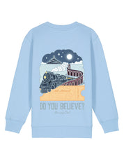 Polar Train Organic Cotton Childrens Sweatshirt