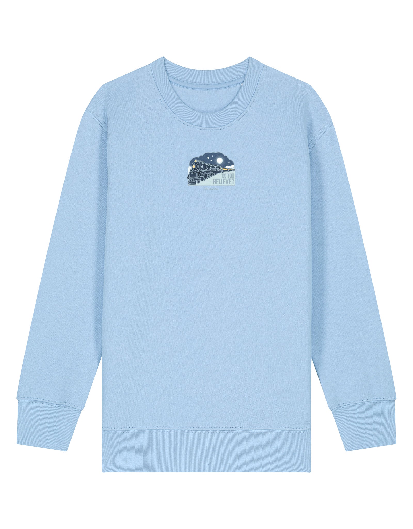 Polar Train Organic Cotton Childrens Sweatshirt