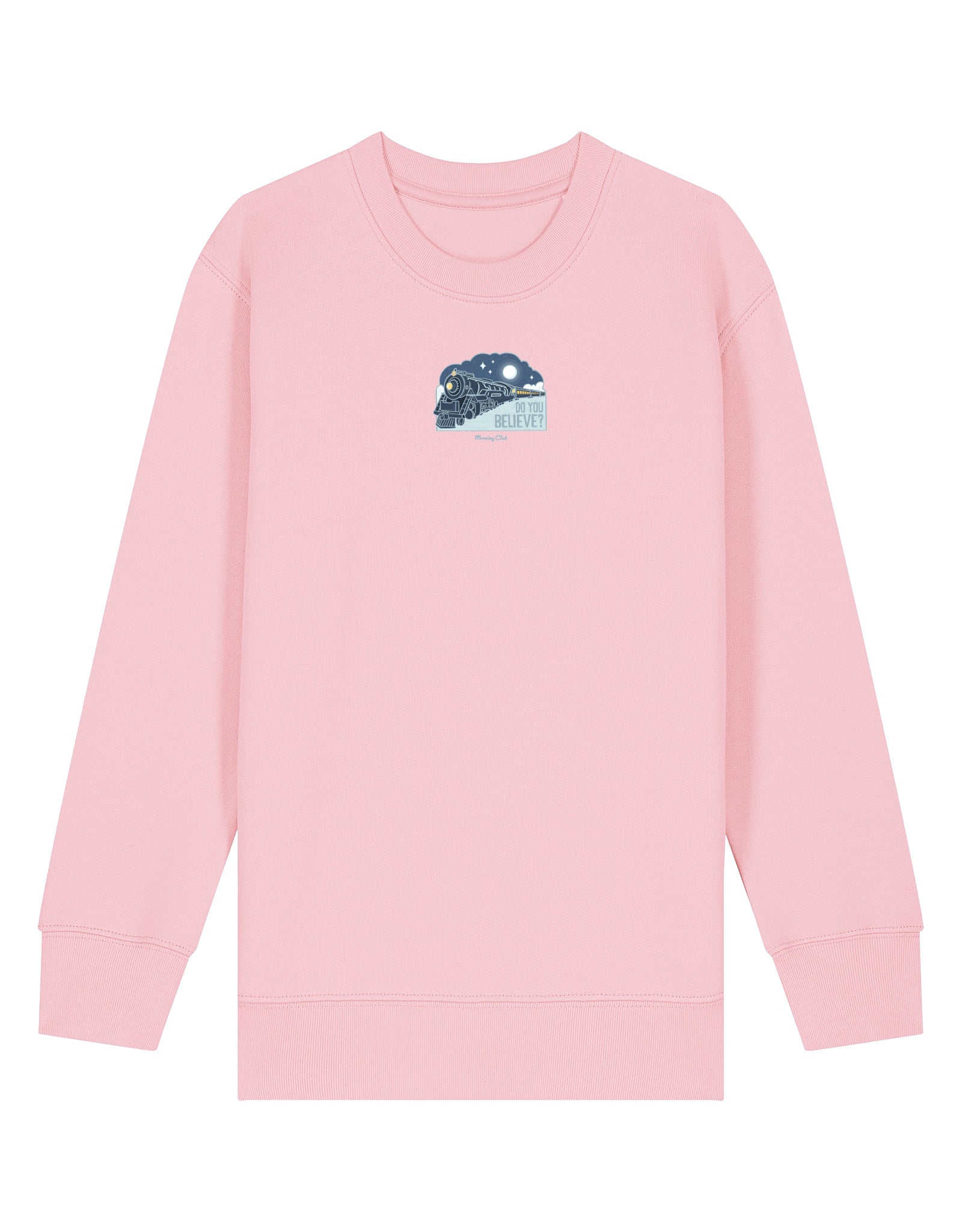 Polar Train Organic Cotton Childrens Sweatshirt