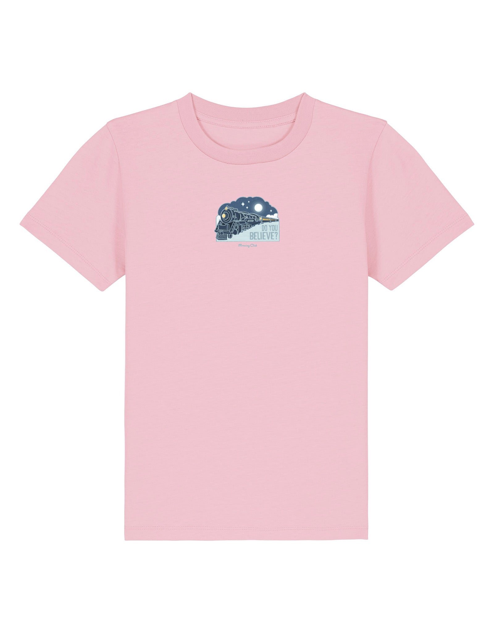 Polar Train Organic Cotton Childrens T-Shirt