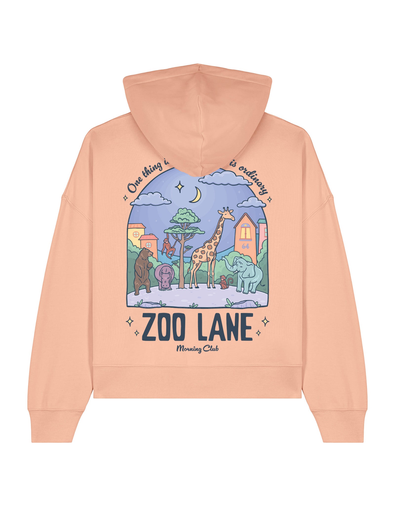 ZOOLANEPEACHBOXYHOODIEBACK.jpg